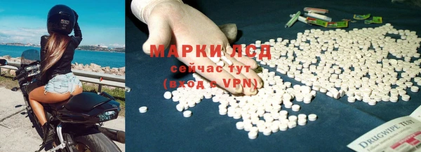 ПСИЛОЦИБИНОВЫЕ ГРИБЫ Алексин