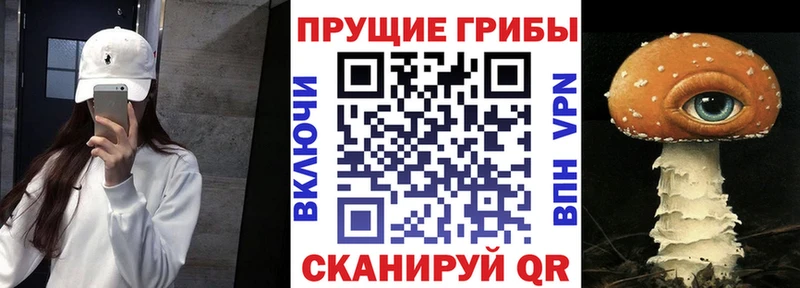 Галлюциногенные грибы мицелий  Асино 