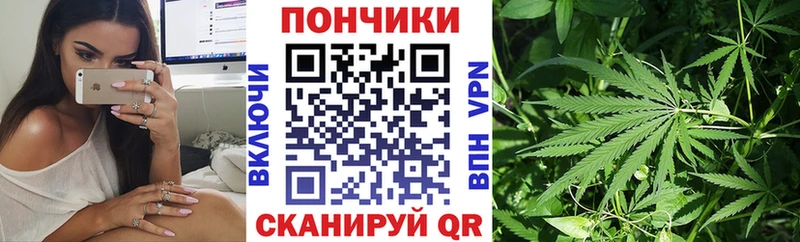 Шишки марихуана гибрид  mega маркетплейс  Асино 